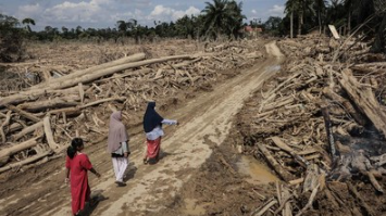 Korban Bencana Sumatera: 1.059 Meninggal dan 192 Hilang